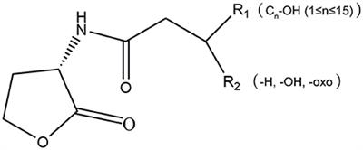 “In-Group” Communication in Marine Vibrio: A Review of N-Acyl Homoserine Lactones-Driven Quorum Sensing